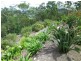 Cedar Creek QLD 4207