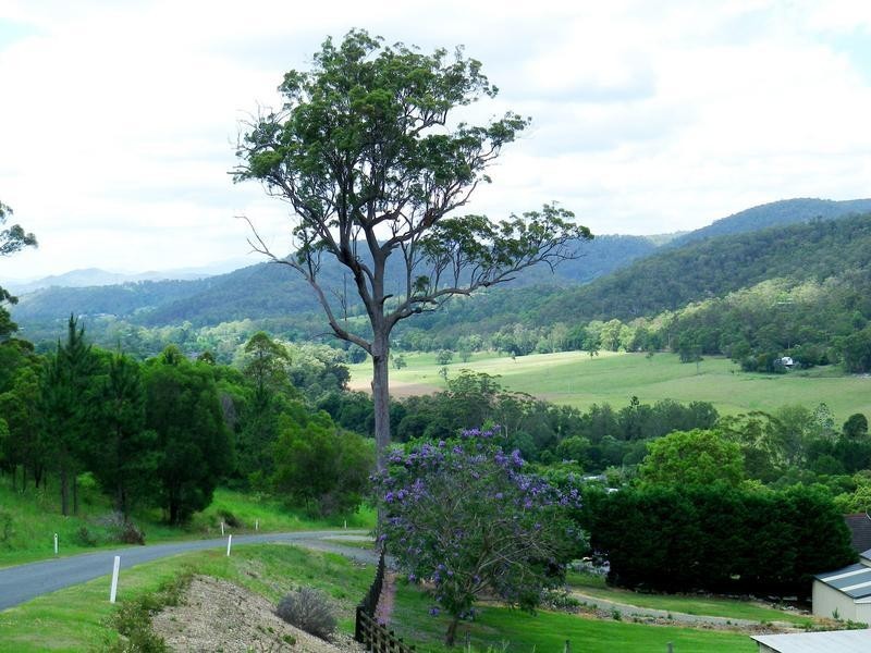 230 Crest Hill Drive, Wongawallan QLD 4210