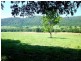 1020 Tamborine-Oxenford Road, Wongawallan QLD 4210