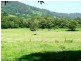 1020 Tamborine-Oxenford Road, Wongawallan QLD 4210
