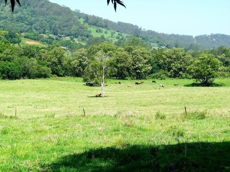 1020 Tamborine-Oxenford Road, Wongawallan QLD 4210