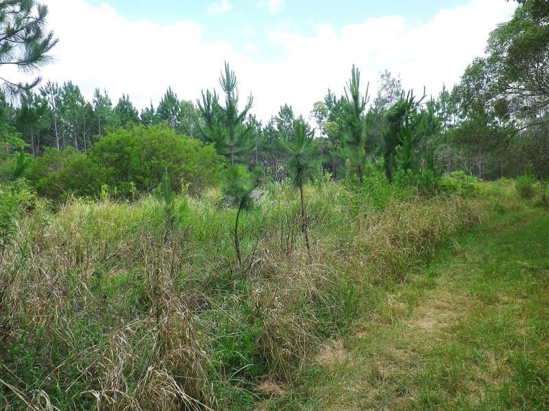 129 Amity Road, Coomera QLD 4209