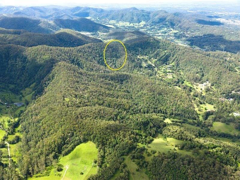 Lot 15 Caballo Road, Guanaba QLD 4210