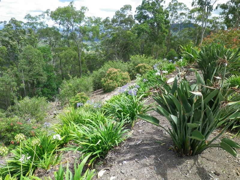 Cedar Creek QLD 4207