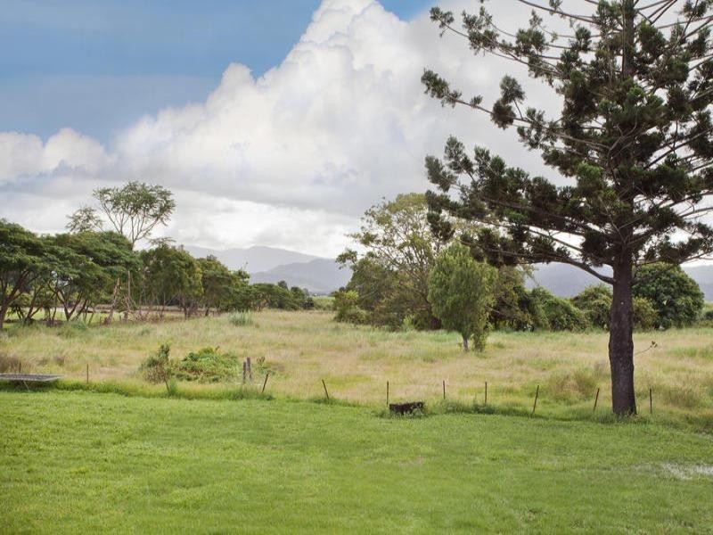 Murwillumbah NSW 2484