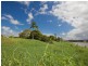 Murwillumbah NSW 2484