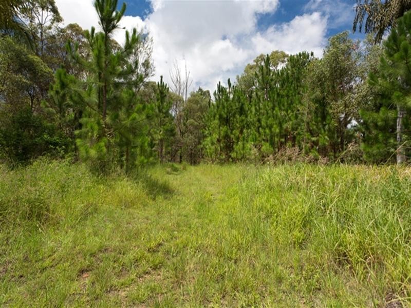 298 Foxwell Road, Coomera QLD 4209