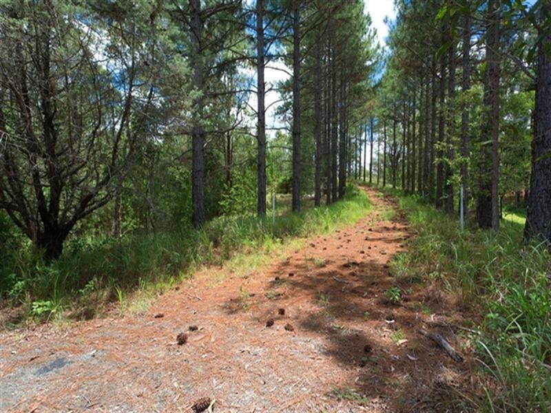 298 Foxwell Road, Coomera QLD 4209