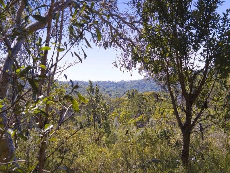 79 Cullamine Road, Duffys Forest NSW 2084