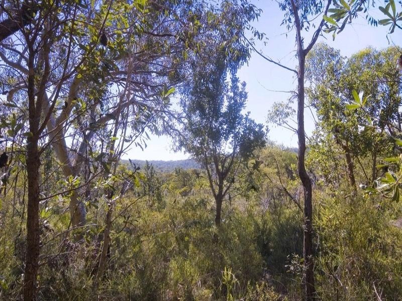 79 Cullamine Road, Duffys Forest NSW 2084