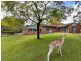 202 Forest Way, Belrose NSW 2085