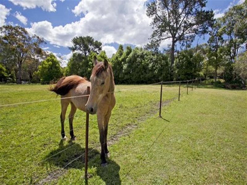 Ingleside NSW 2101