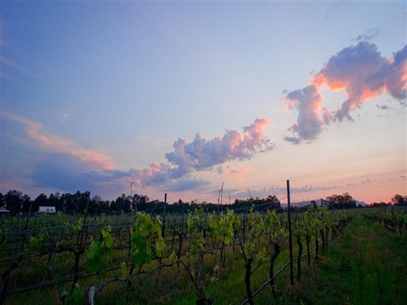 504 Wilderness Road, Rothbury NSW 2320