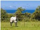 Ingleside NSW 2101
