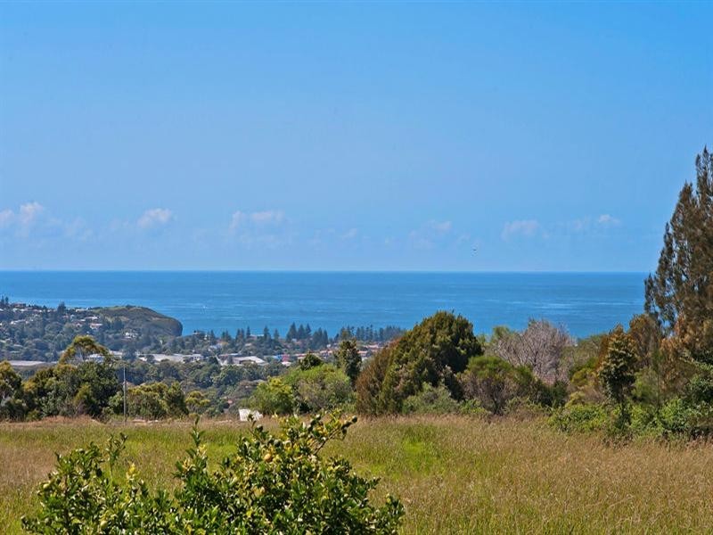 3 Walter Road, Ingleside NSW 2101