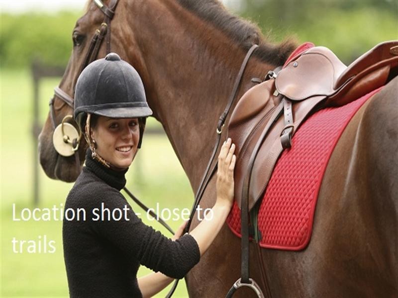 Duffys Forest NSW 2084