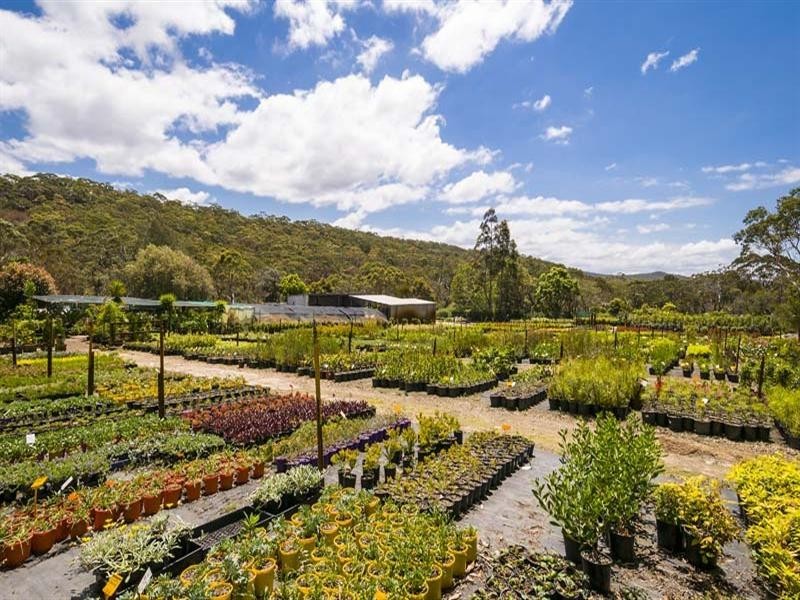 Ingleside NSW 2101