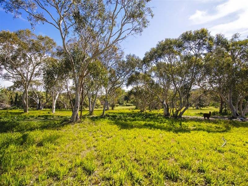 Duffys Forest NSW 2084