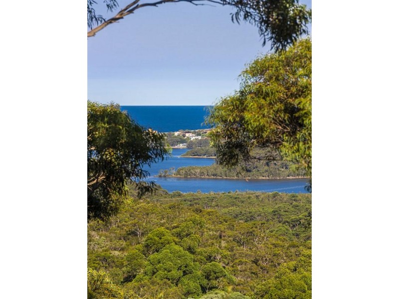 Elanora Heights NSW 2101