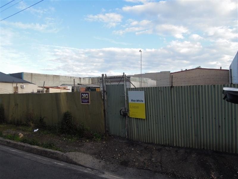 393 Old Five Islands Road, Unanderra NSW 2526