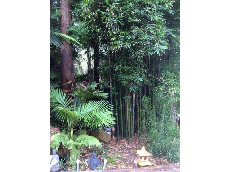 60a Princes Highway, Thirroul NSW 2515