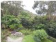 134 Morrison Avenue, Wombarra NSW 2515