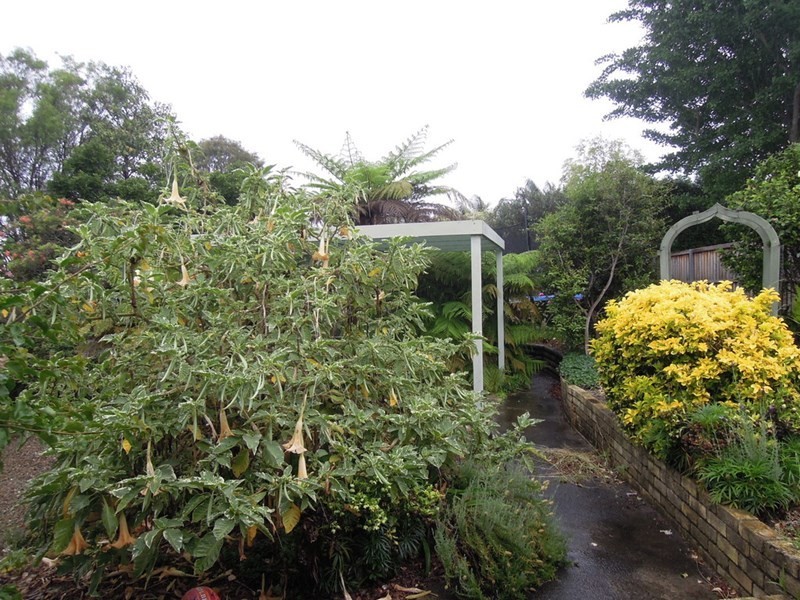 50 Lachlan Street, Thirroul NSW 2515