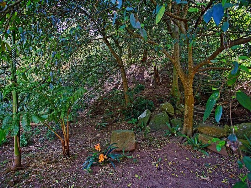 32 Cokeworks Road, Coledale NSW 2515