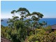 32 Broadridge Street, Wombarra NSW 2515