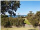 4 Gifford Street, Coledale NSW 2515