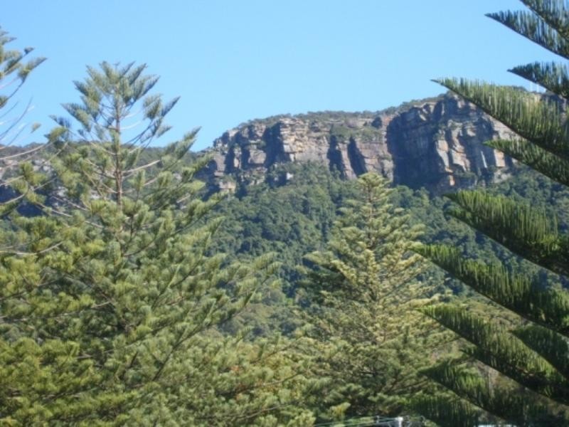 26 Squires Crescent, Coledale NSW 2515