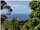 50 Hospital Road, Bulli NSW 2516