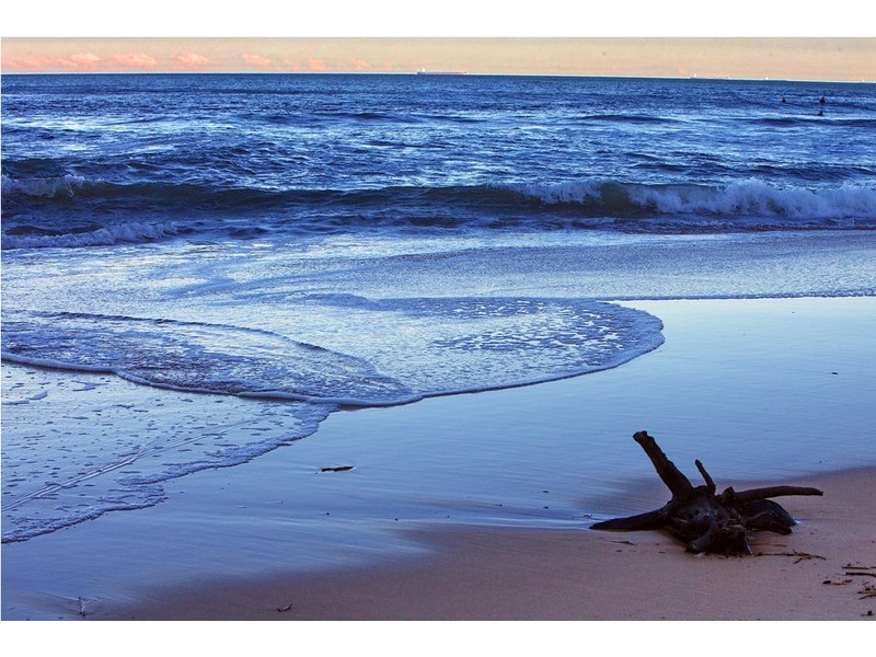 3 Hemsley Place, Coledale NSW 2515