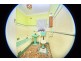 32 Sturdee Street, Towradgi NSW 2518