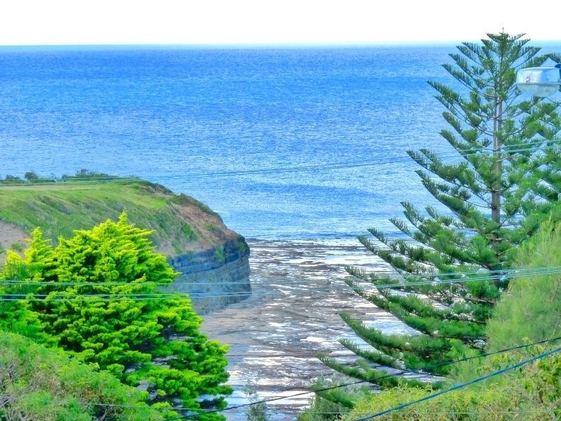 624 Lawrence Hargrave Drive, Wombarra NSW 2515