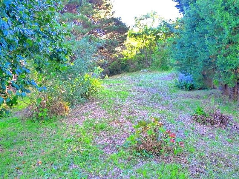 624 Lawrence Hargrave Drive, Wombarra NSW 2515