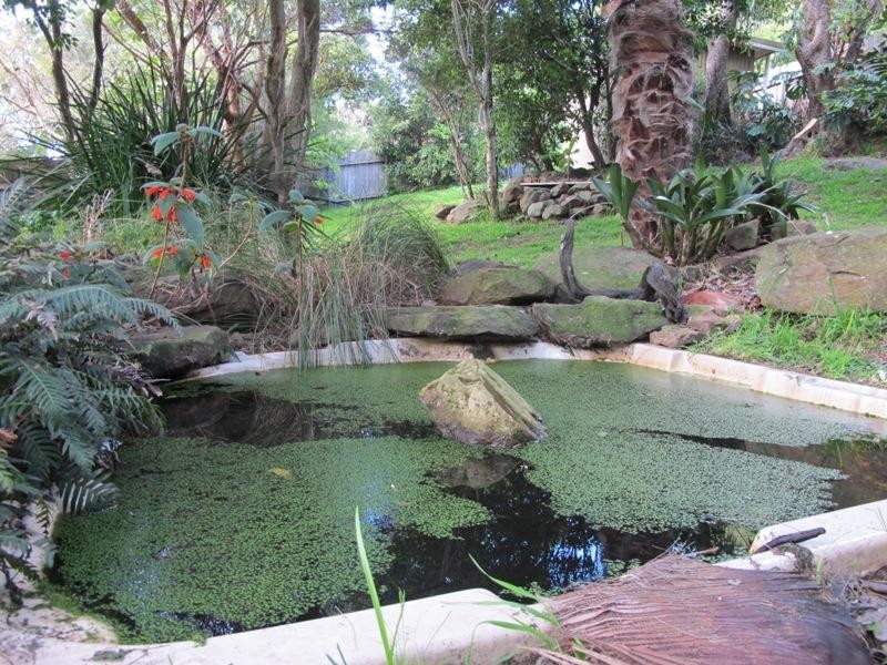 29 Paterson Road, Coalcliff NSW 2508