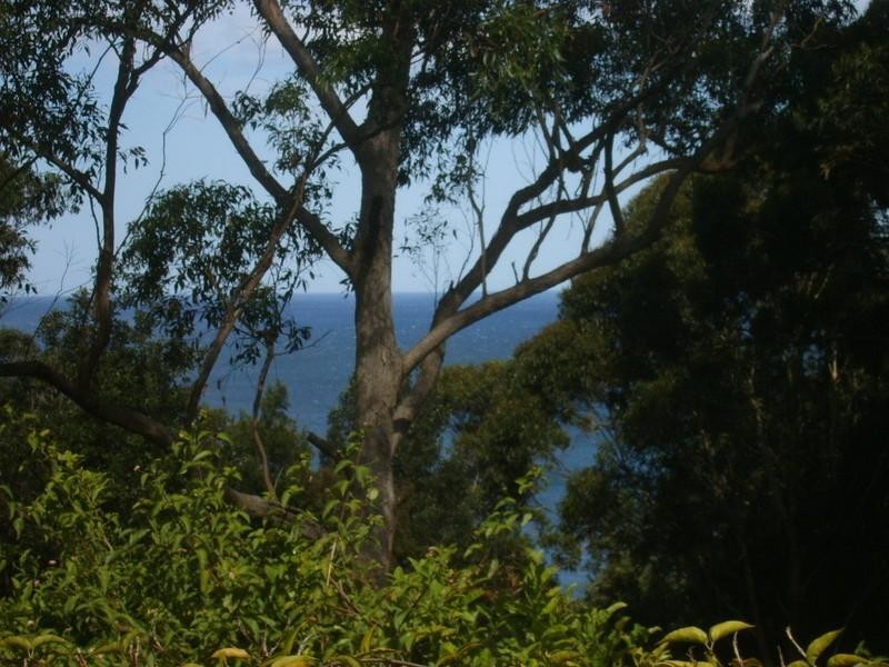 29 Middle Heights Estate, Coledale NSW 2515