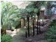 15 Hill Street, Austinmer NSW 2515