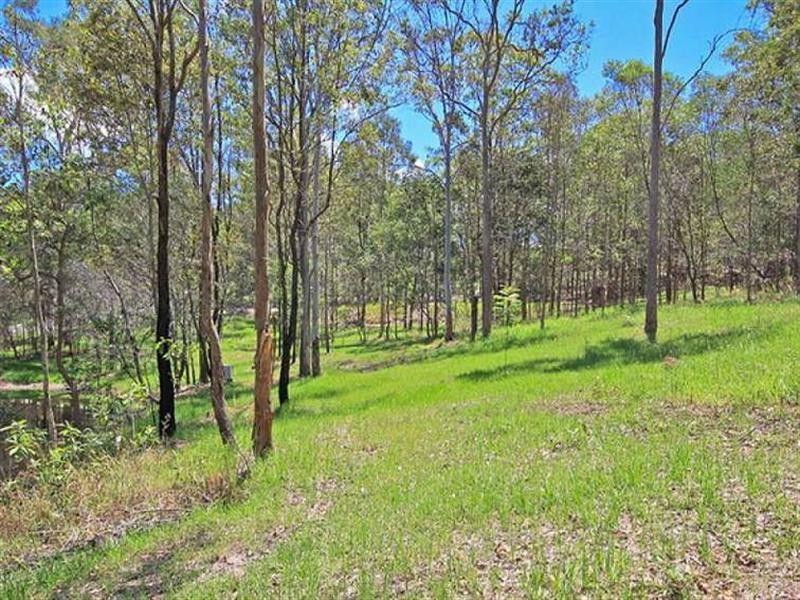 4 Springfield Court, Wights Mountain QLD 4520