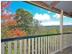 4 Springfield Court, Wights Mountain QLD 4520