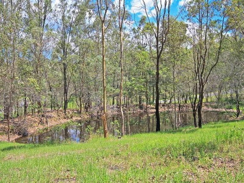 4 Springfield Court, Wights Mountain QLD 4520