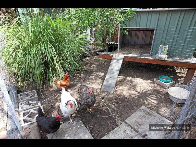 23 Wongabel Street, Kenmore QLD 4069