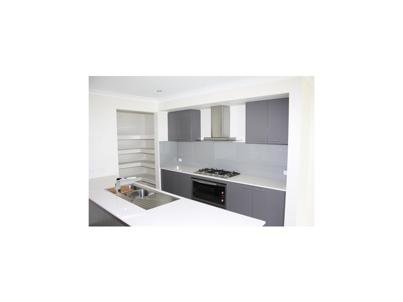 124 Payne Street, Indooroopilly QLD 4068