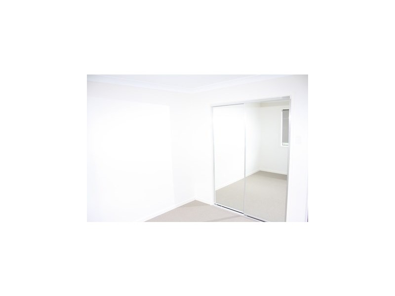 124 Payne Street, Indooroopilly QLD 4068