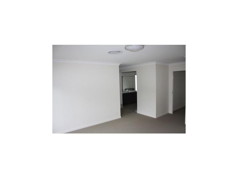 124 Payne Street, Indooroopilly QLD 4068