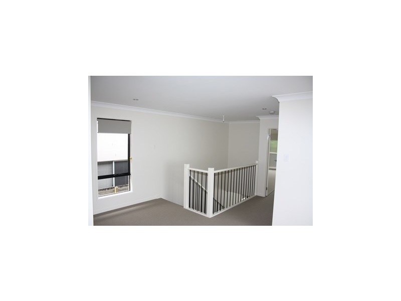 124 Payne Street, Indooroopilly QLD 4068