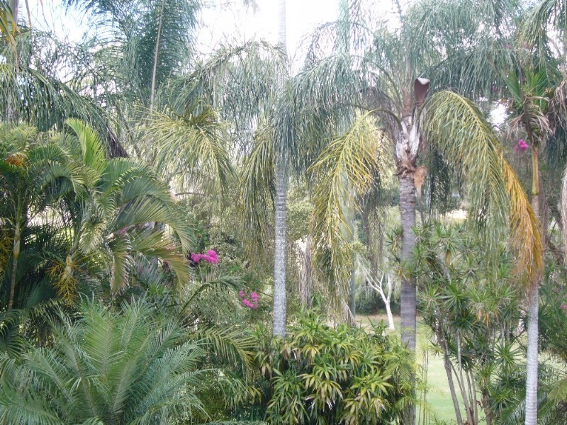 179 Arrabri Avenue, Mount Ommaney QLD 4074