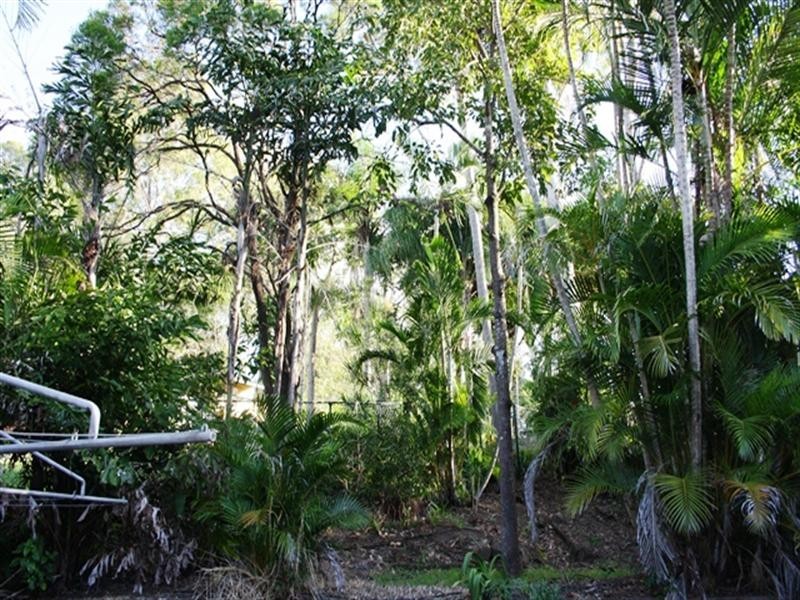 25 Rosewood Street, Bardon QLD 4065