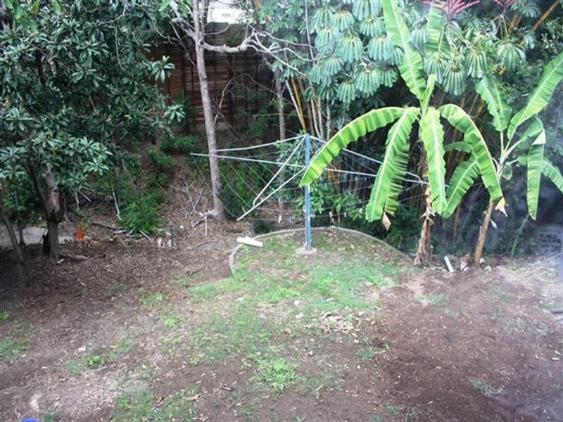 19 Coverdale Street, Indooroopilly QLD 4068